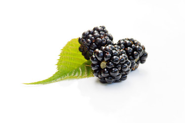 Similar image 2729562