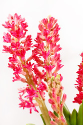 Similar image 2729566