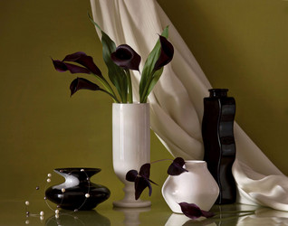 Similar image 2729574