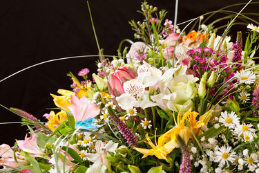 Similar image 2729586