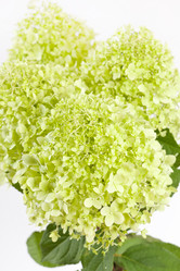 Similar image 2729589