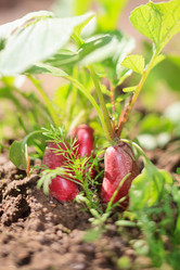 Similar image 2729615