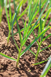 Similar image 2729626