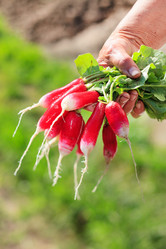 Similar image 2729628