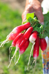 Similar image 2729630