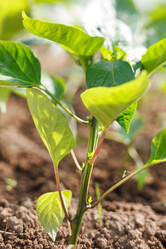 Similar image 2729632