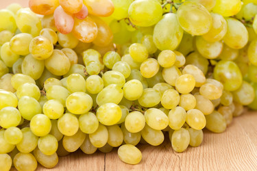 Similar image 2729659