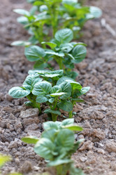 Similar image 2729694