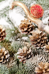 Similar image 2729716