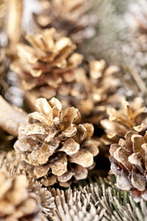 Similar image 2729717