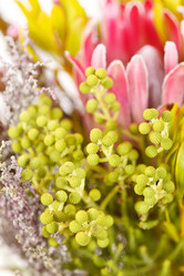 Similar image 2729720