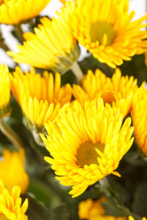 Similar image 2729721