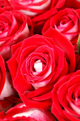 Similar image 2729722