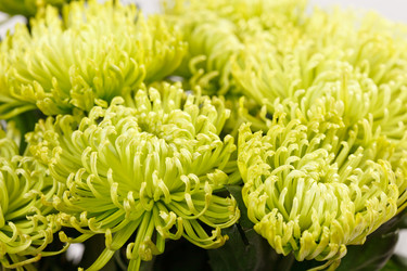 Similar image 2729723