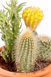 Similar image 2729729