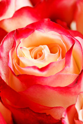 Similar image 2729731