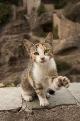 Similar image 2729770