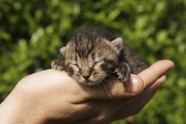 Similar image 2729772