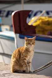 Similar image 2729773