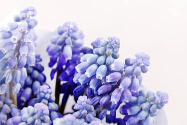 Similar image 2730021