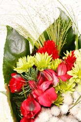 Similar image 2730066