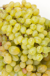 Similar image 2730211