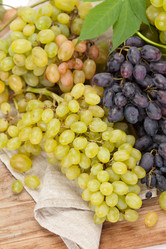 Similar image 2730212