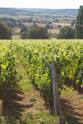 Similar image 2730213