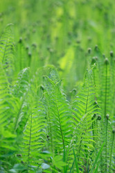 Similar image 2730229