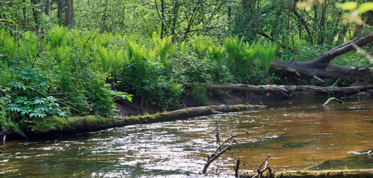 Similar image 2730230