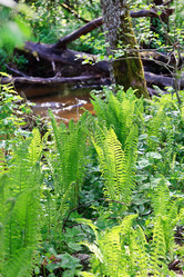 Similar image 2730231