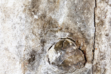 Similar image 2730257