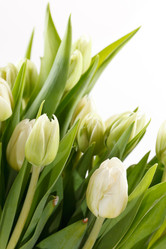 Similar image 2730264