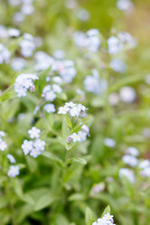 Similar image 2730292