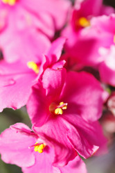 Similar image 2730295