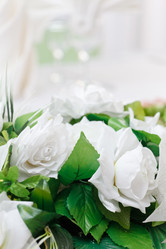 Similar image 2730314