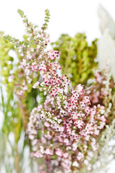 Similar image 2730317