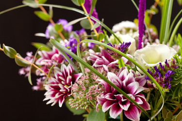 Similar image 2730318