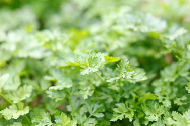 Similar image 2730340