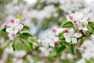 Similar image 2730343