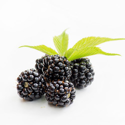 Similar image 2730351