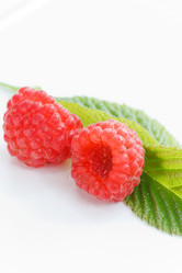 Similar image 2730352