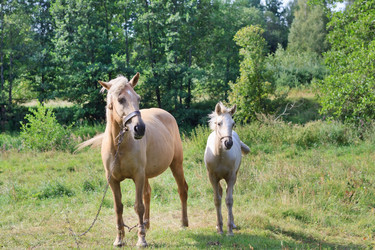 Similar image 2730353