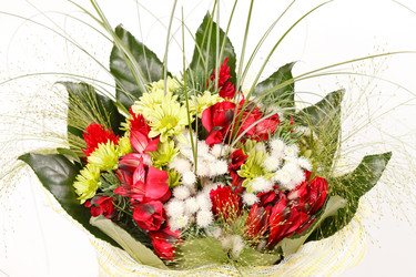 Similar image 2730371