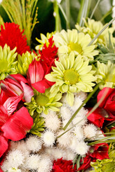 Similar image 2730372