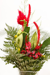 Similar image 2730373