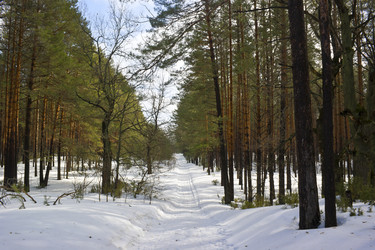 Similar image 2730377