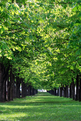 Similar image 2730403