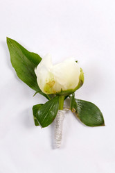 Similar image 2730417