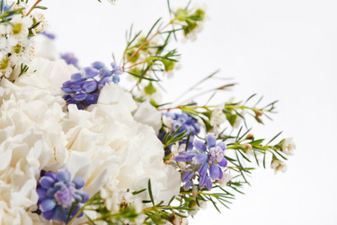 Similar image 2730418